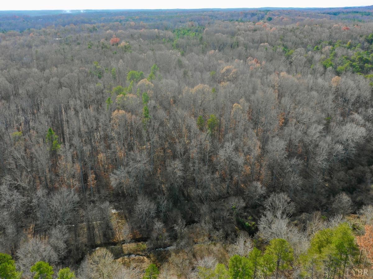 0 Wheeler Road Lynchburg, VA 24504 - Photo 28 of 69 a view of a field of grass and trees