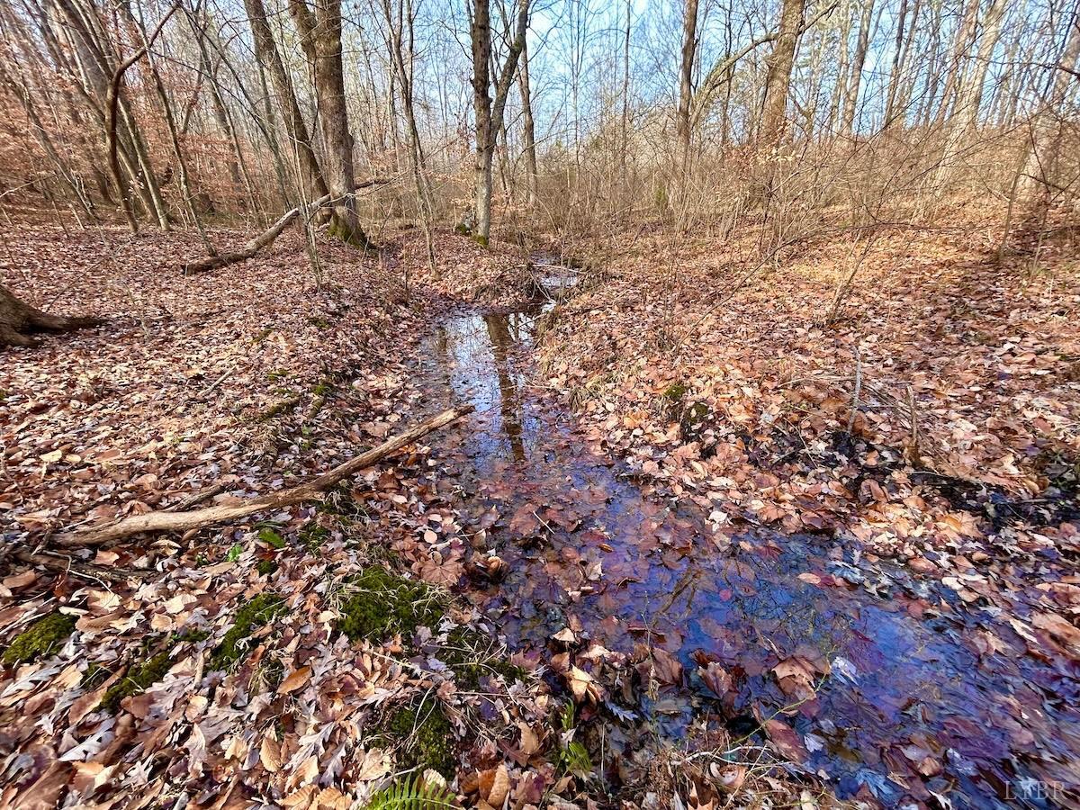 0 Wheeler Road Lynchburg, VA 24504 - Photo 29 of 69