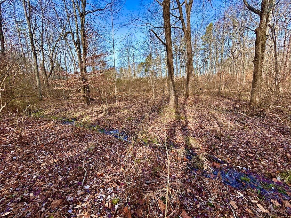 0 Wheeler Road Lynchburg, VA 24504 - Photo 30 of 69 a view of a yard with trees