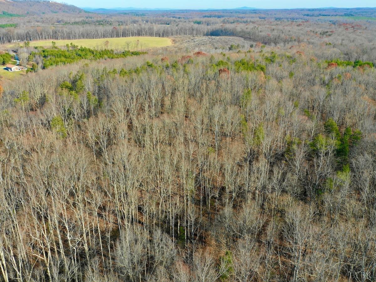 0 Wheeler Road Lynchburg, VA 24504 - Photo 3 of 69