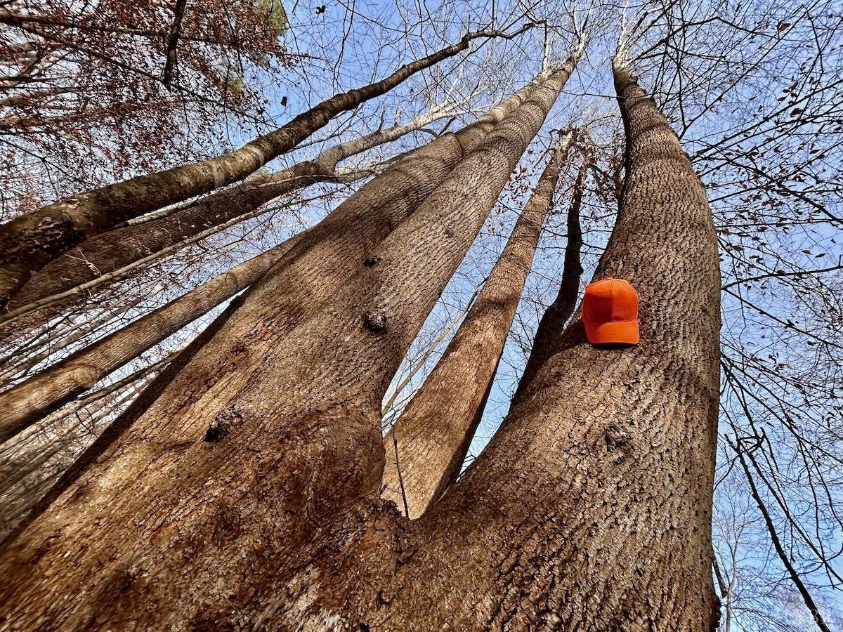 0 Wheeler Road Lynchburg, VA 24504 - Photo 31 of 69