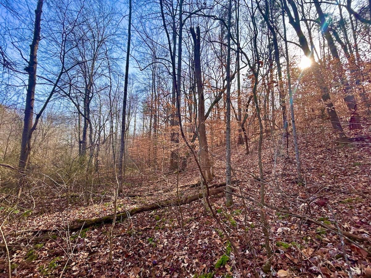 0 Wheeler Road Lynchburg, VA 24504 - Photo 34 of 69 a backyard of a house with lots of green space