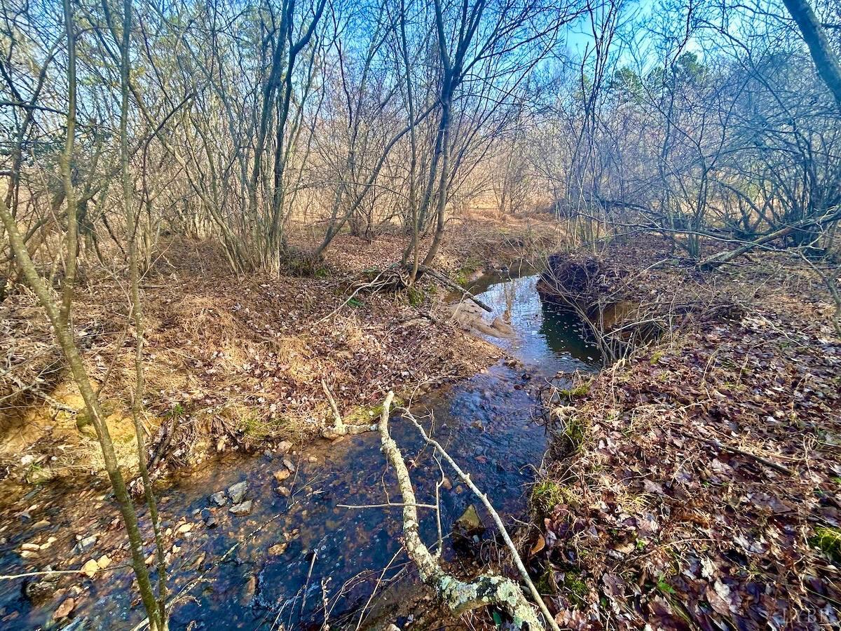 0 Wheeler Road Lynchburg, VA 24504 - Photo 35 of 69