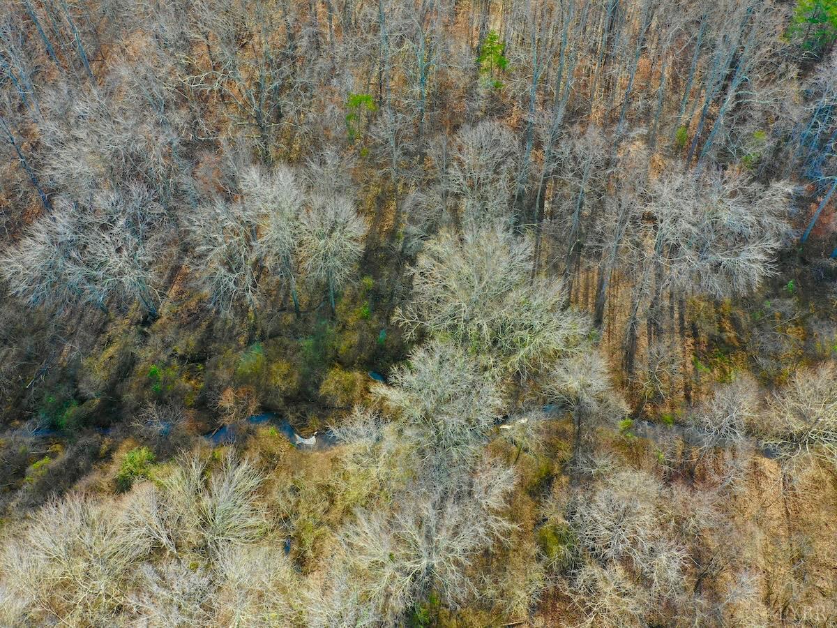 0 Wheeler Road Lynchburg, VA 24504 - Photo 37 of 69 a view of a covered with green field
