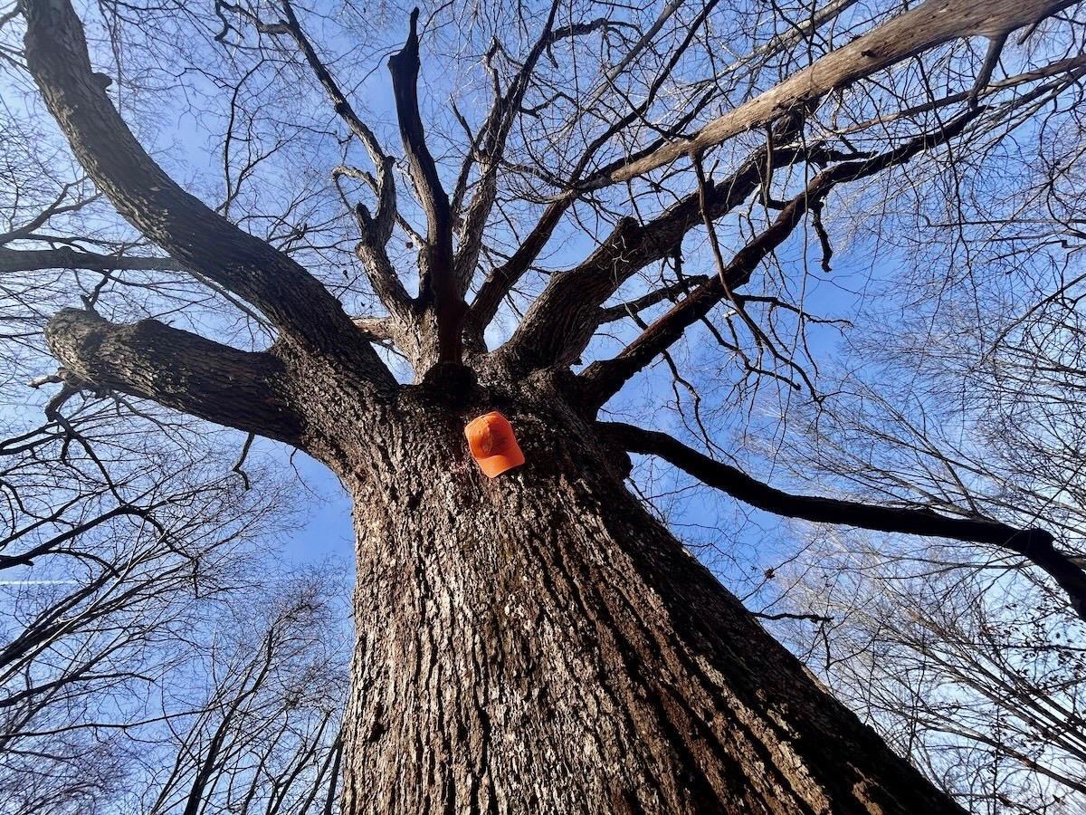 0 Wheeler Road Lynchburg, VA 24504 - Photo 39 of 69