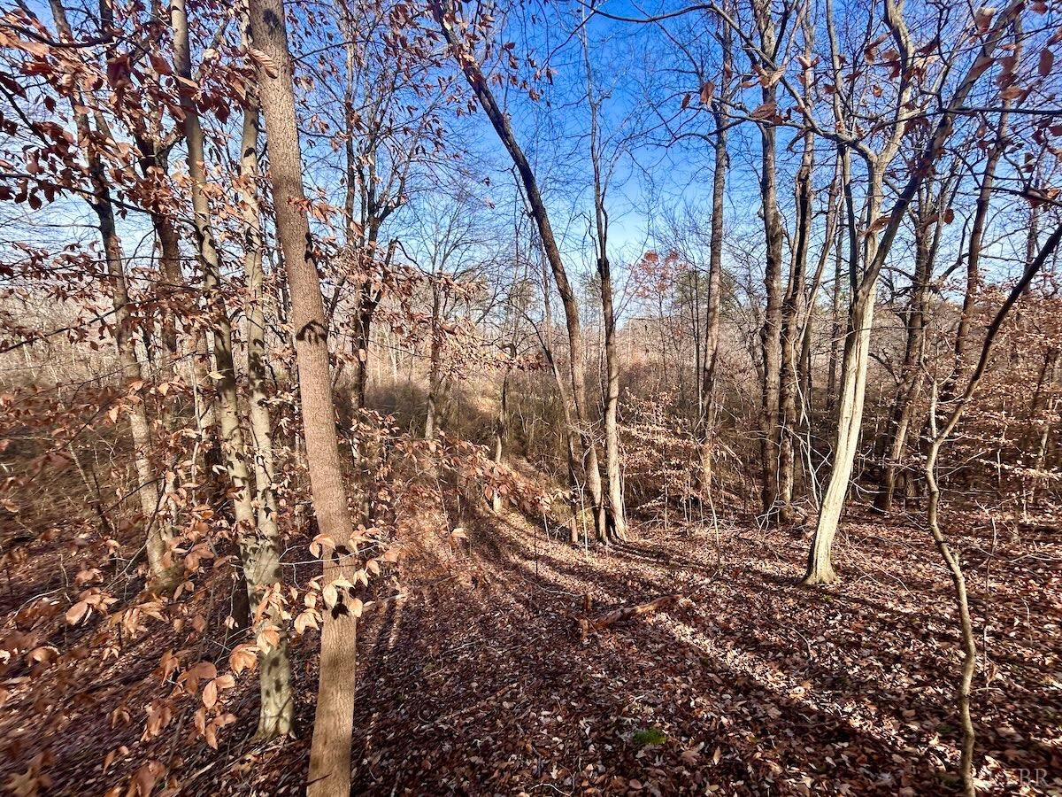 0 Wheeler Road Lynchburg, VA 24504 - Photo 40 of 69 a view of a yard with large trees