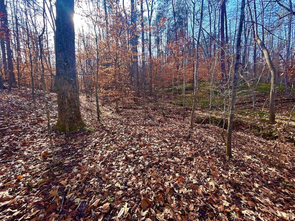 0 Wheeler Road Lynchburg, VA 24504 - Photo 41 of 69