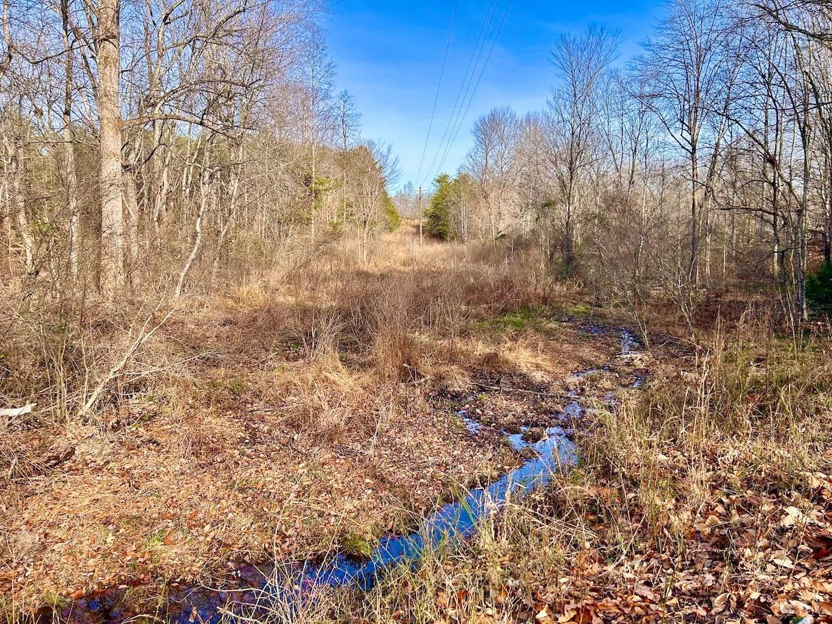 0 Wheeler Road Lynchburg, VA 24504 - Photo 45 of 69 a view of a yard with trees and bushes