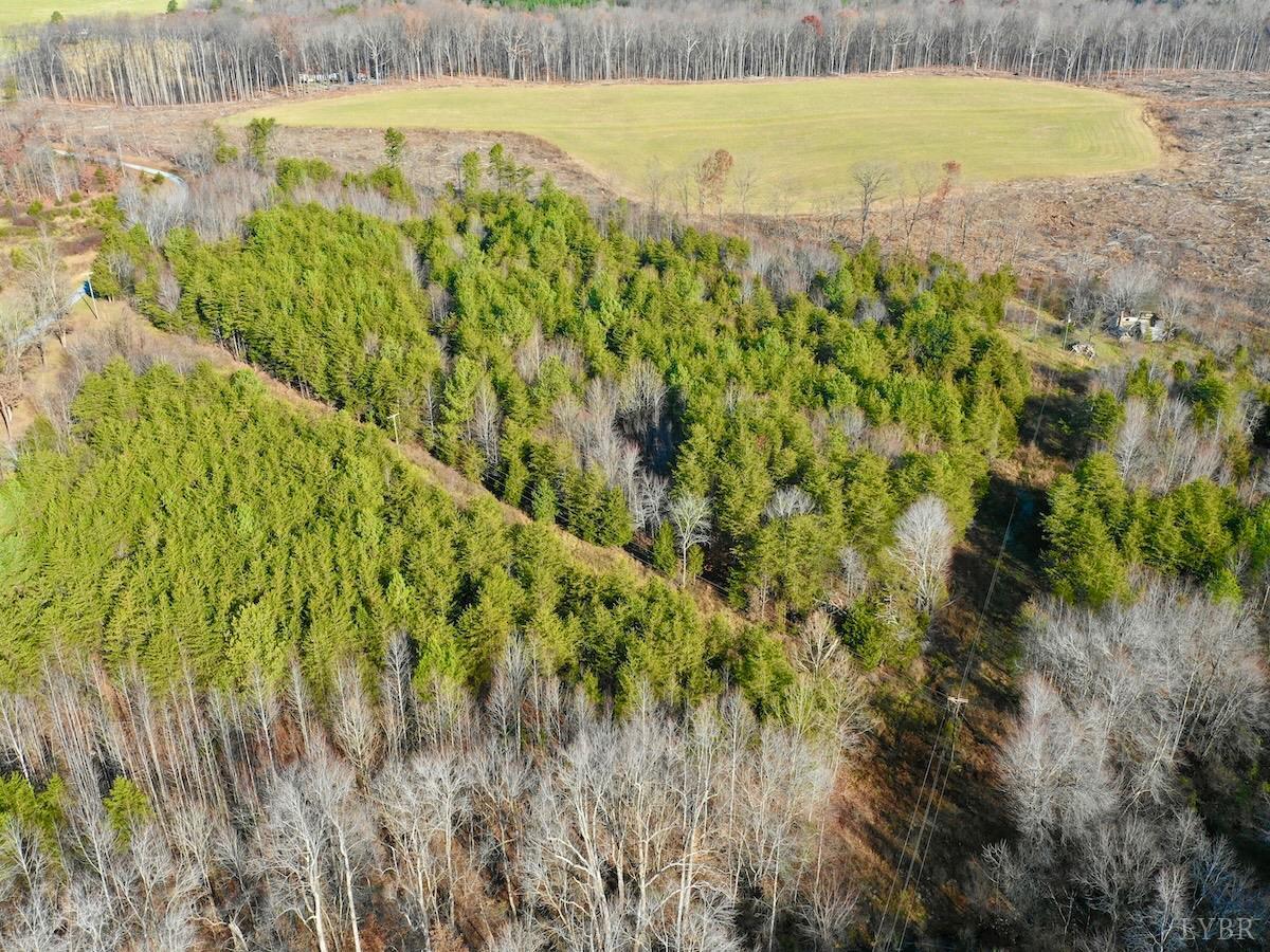 0 Wheeler Road Lynchburg, VA 24504 - Photo 46 of 69 a view of a yard with an outdoor space