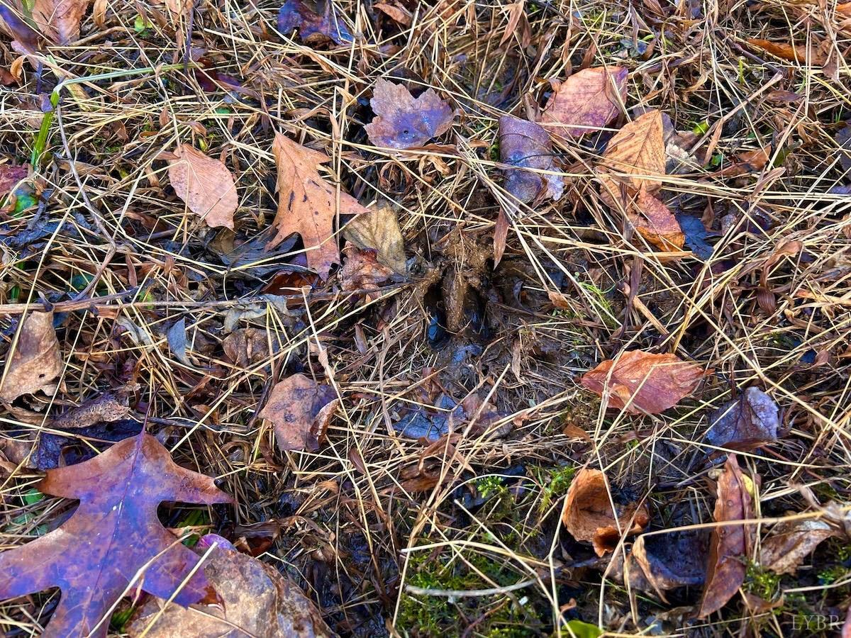 0 Wheeler Road Lynchburg, VA 24504 - Photo 47 of 69