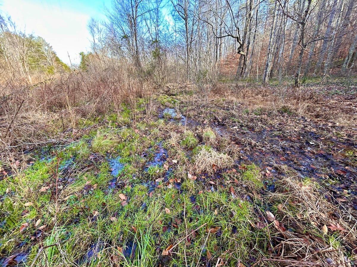 0 Wheeler Road Lynchburg, VA 24504 - Photo 48 of 69