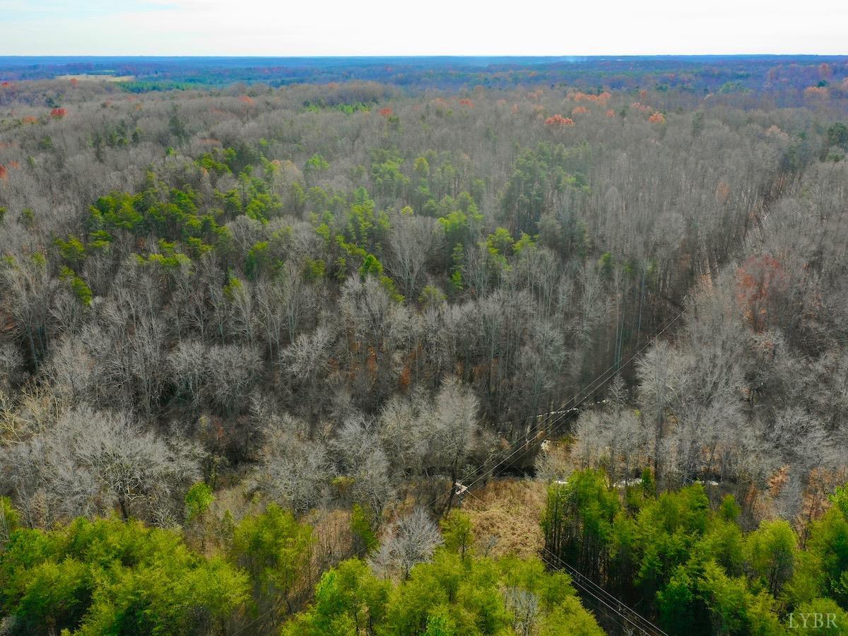 0 Wheeler Road Lynchburg, VA 24504 - Photo 49 of 69 a view of a lush green forest with trees and some houses