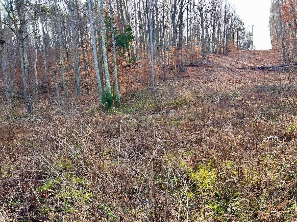 0 Wheeler Road Lynchburg, VA 24504 - Photo 50 of 69 a view of backyard with green space