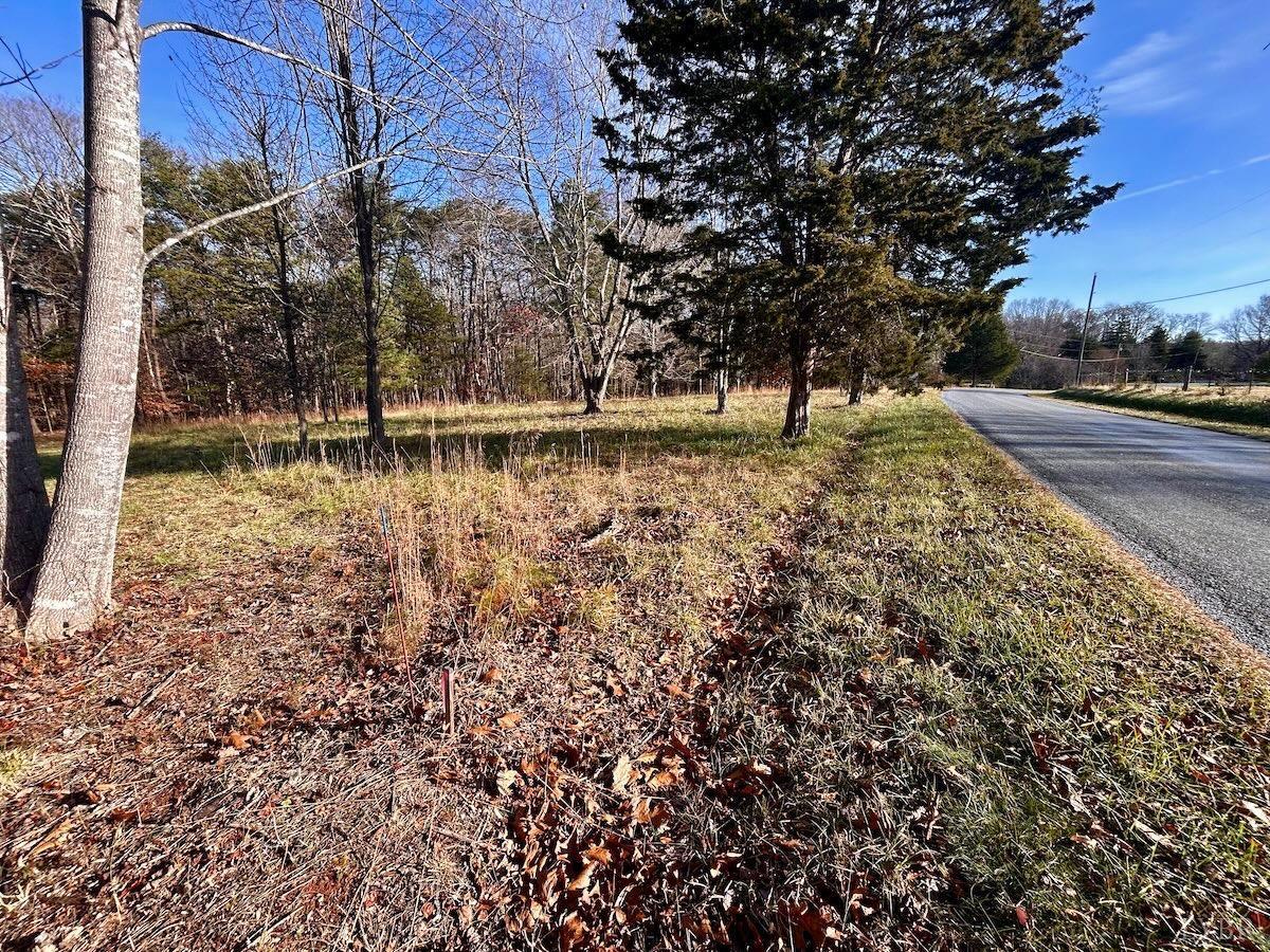 0 Wheeler Road Lynchburg, VA 24504 - Photo 5 of 69 a view of a yard with a tree