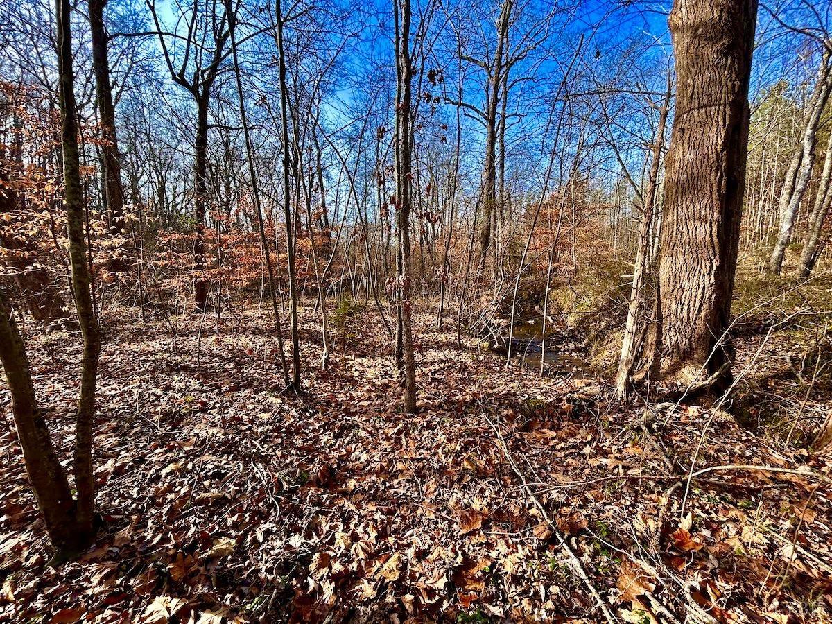 0 Wheeler Road Lynchburg, VA 24504 - Photo 51 of 69 a view of a yard with lots of trees