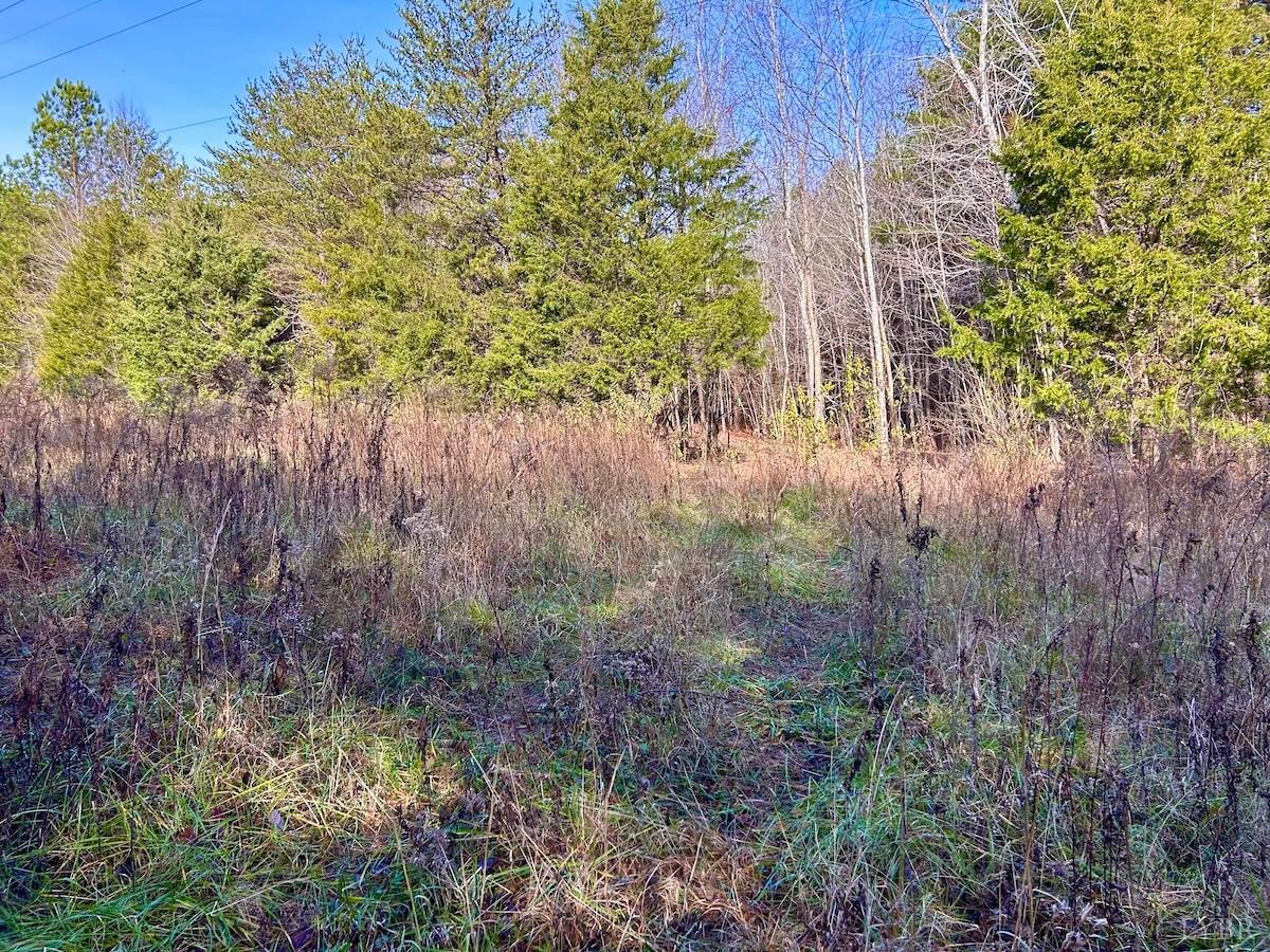 0 Wheeler Road Lynchburg, VA 24504 - Photo 52 of 69