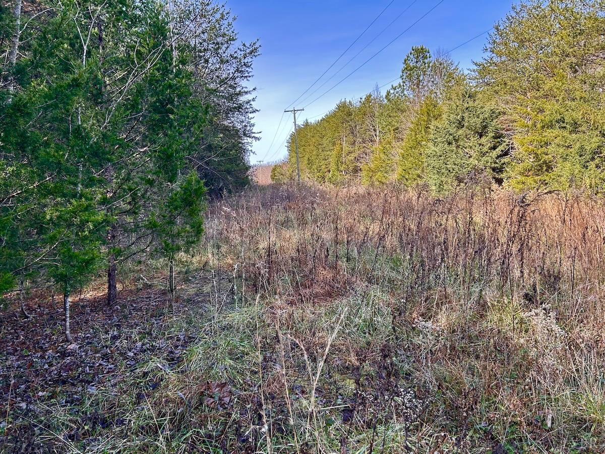 0 Wheeler Road Lynchburg, VA 24504 - Photo 53 of 69