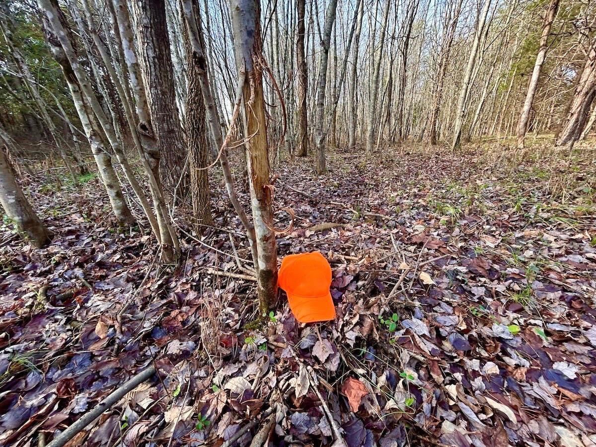 0 Wheeler Road Lynchburg, VA 24504 - Photo 55 of 69 a view of a yard with wooden fence