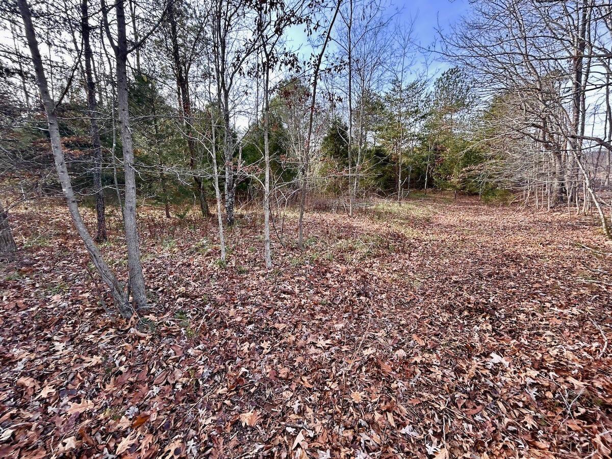 0 Wheeler Road Lynchburg, VA 24504 - Photo 56 of 69 a view of a forest with trees in the background