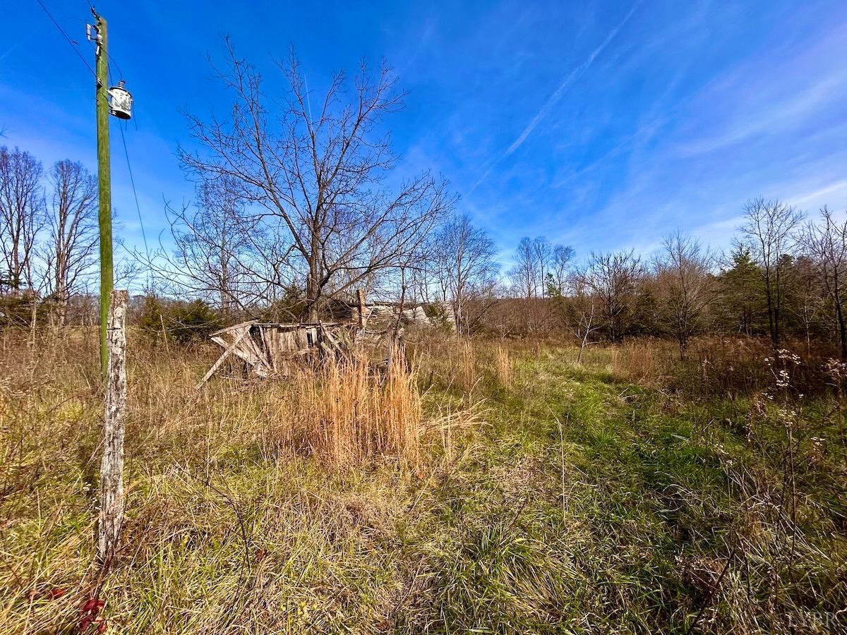 0 Wheeler Road Lynchburg, VA 24504 - Photo 59 of 69 a view of a yard with a tree