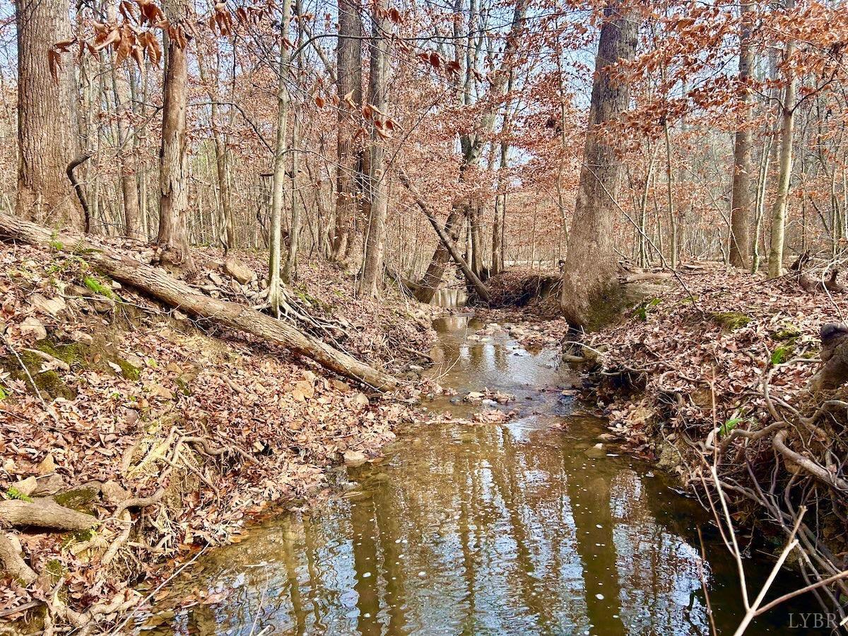 0 Wheeler Road Lynchburg, VA 24504 - Photo 61 of 69 a view of a yard with plants and trees
