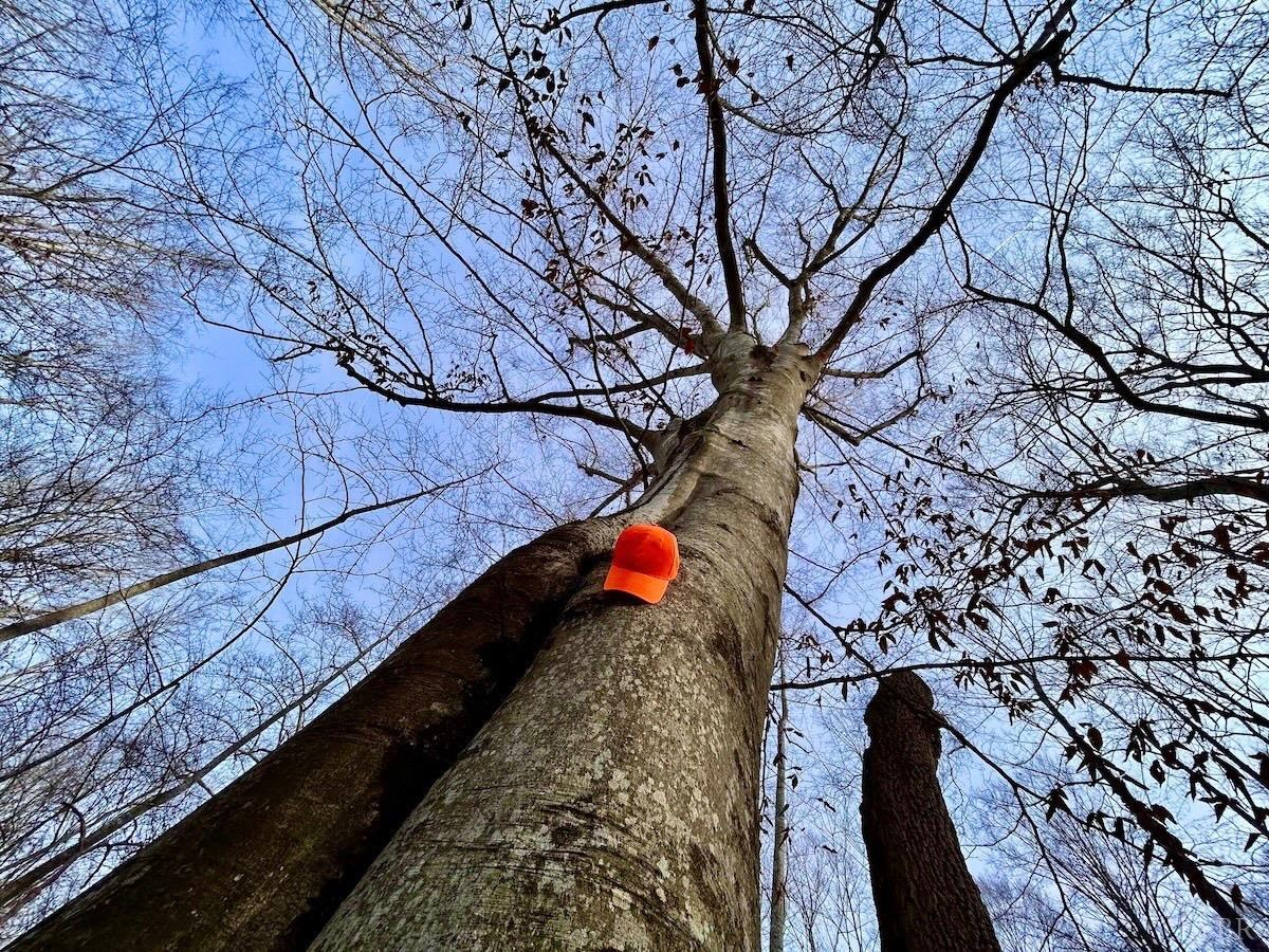 0 Wheeler Road Lynchburg, VA 24504 - Photo 62 of 69