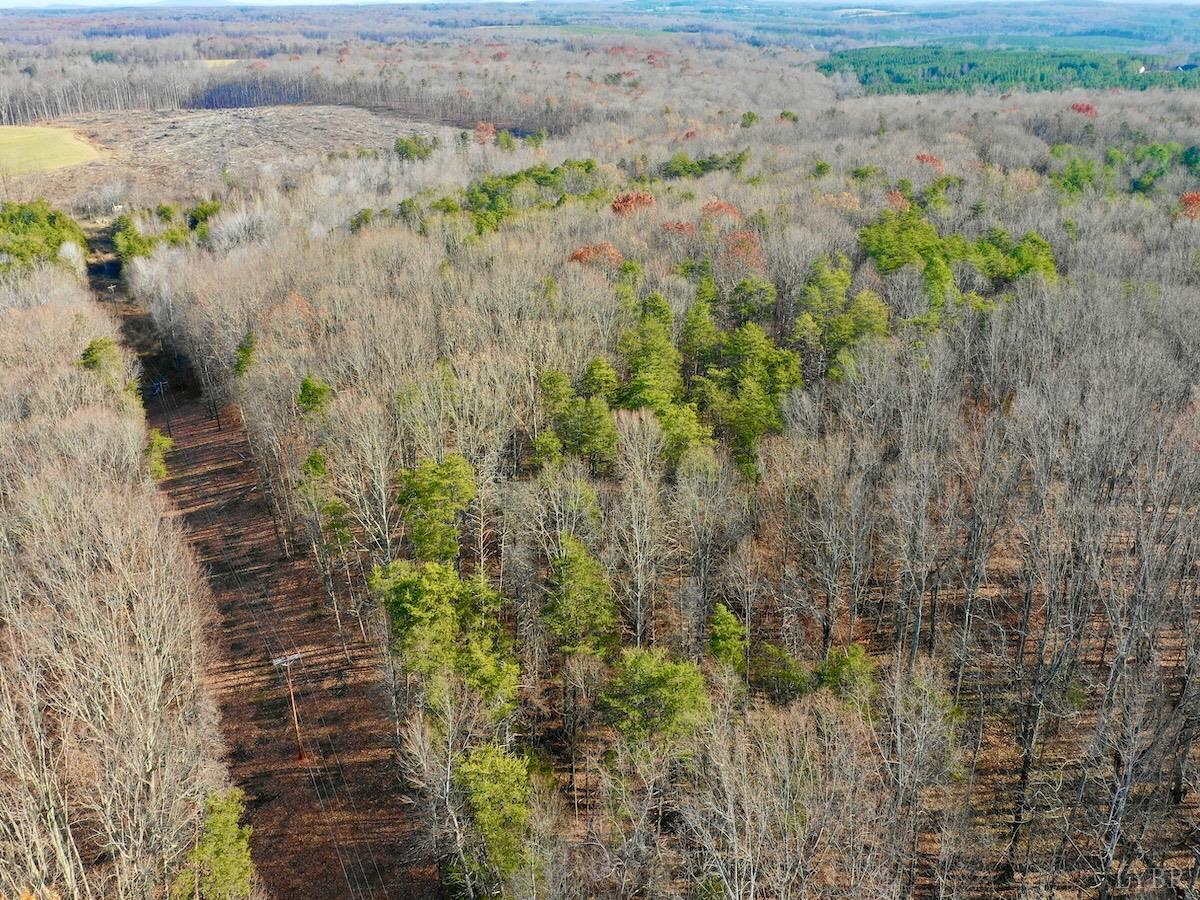 0 Wheeler Road Lynchburg, VA 24504 - Photo 63 of 69 a view of a pathway both side of a yard