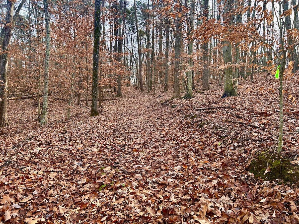 0 Wheeler Road Lynchburg, VA 24504 - Photo 64 of 69 a view of house with trees all around