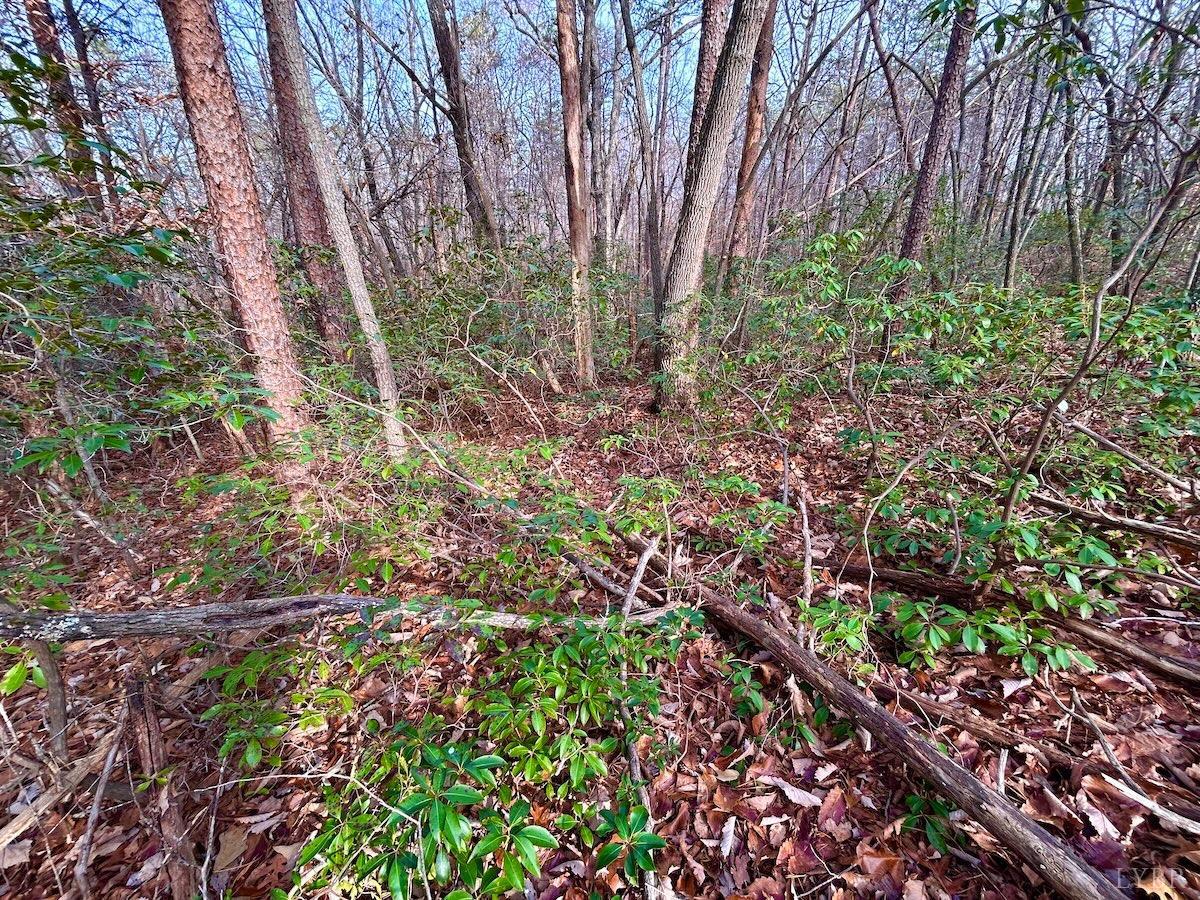 0 Wheeler Road Lynchburg, VA 24504 - Photo 65 of 69 a backyard of a house with lots of green space and garden