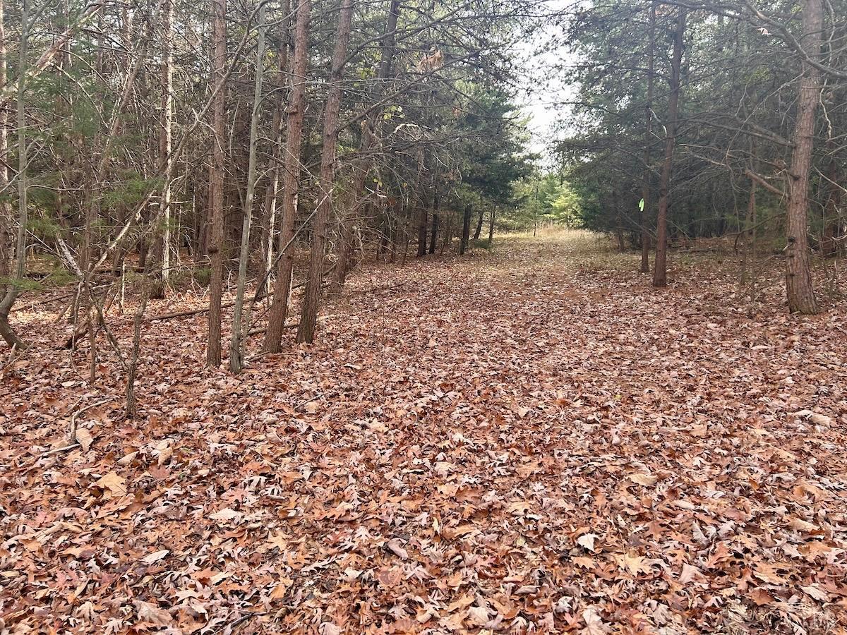 0 Wheeler Road Lynchburg, VA 24504 - Photo 66 of 69 a backyard of a house with lots of green space