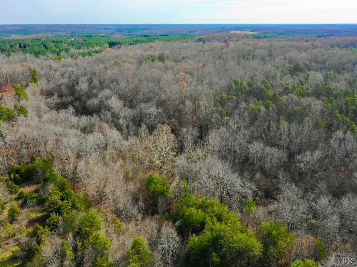 0 Wheeler Road Lynchburg, VA 24504 - Photo 68 of 69 a view of a lush green forest with trees and some houses