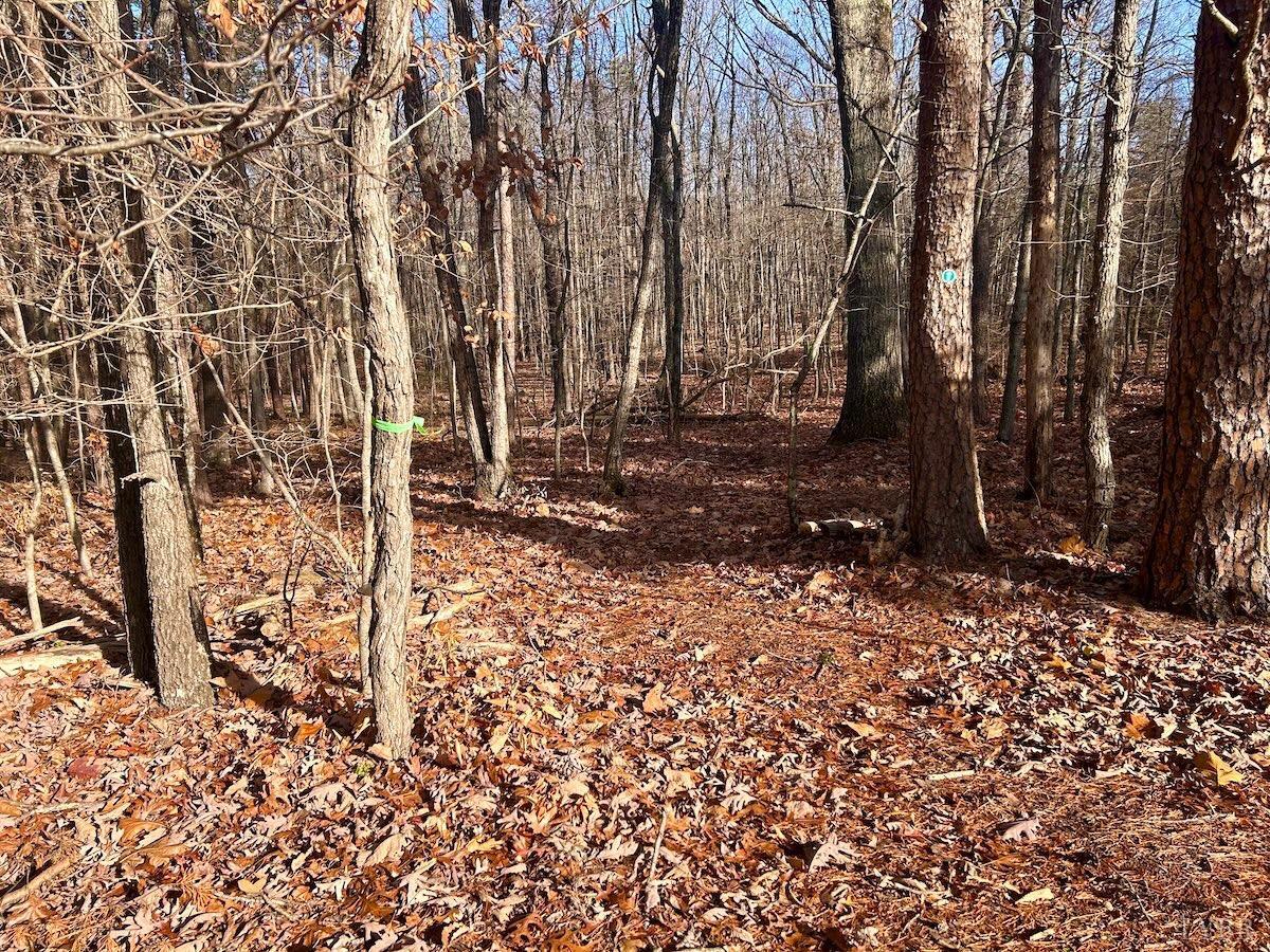 0 Wheeler Road Lynchburg, VA 24504 - Photo 7 of 69 a view of a yard with large trees