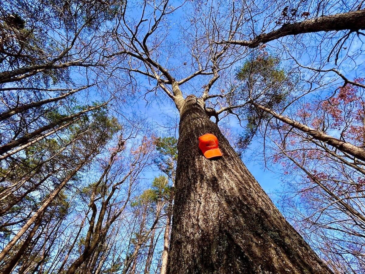 0 Wheeler Road Lynchburg, VA 24504 - Photo 8 of 69