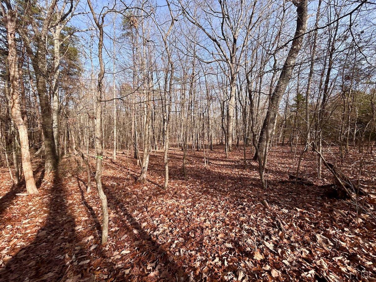 0 Wheeler Road Lynchburg, VA 24504 - Photo 9 of 69 a backyard of a house with lots of green space