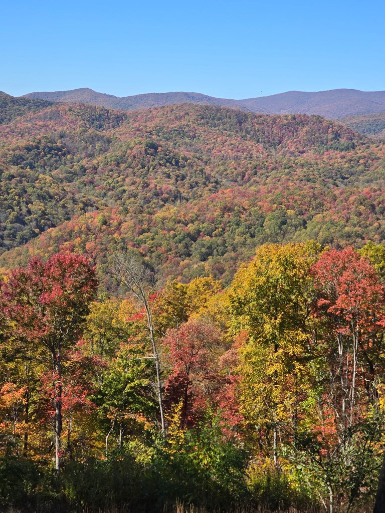 795 Porter Field Gap Road Robbinsville, NC 28771 - Photo 84 of 105