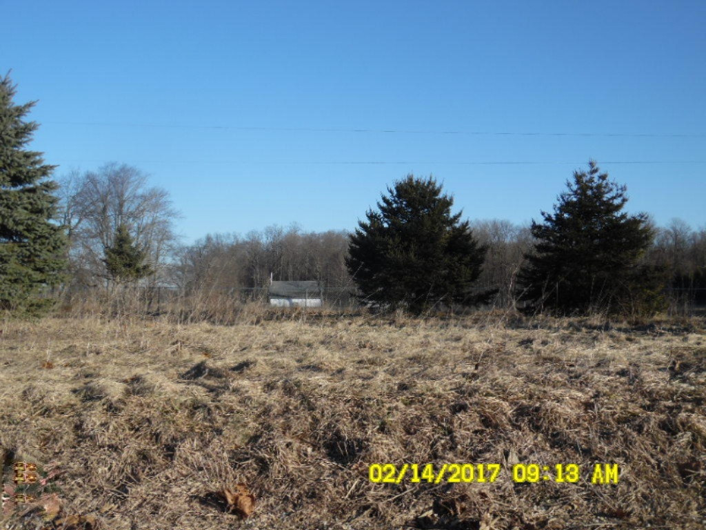 451 Stafford Road Niles, MI 49120 - Photo 3 of 7 2 14 17 (1)