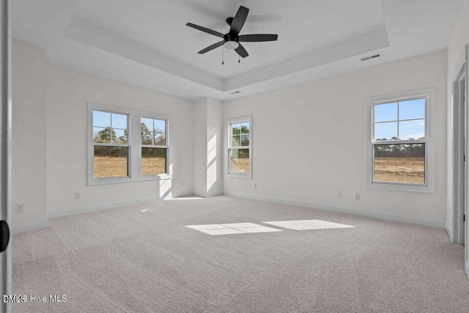 Tbd Doubs Chapel Road Carthage, NC 28327 - Photo 20 of 38 an empty room with windows and ceiling fan