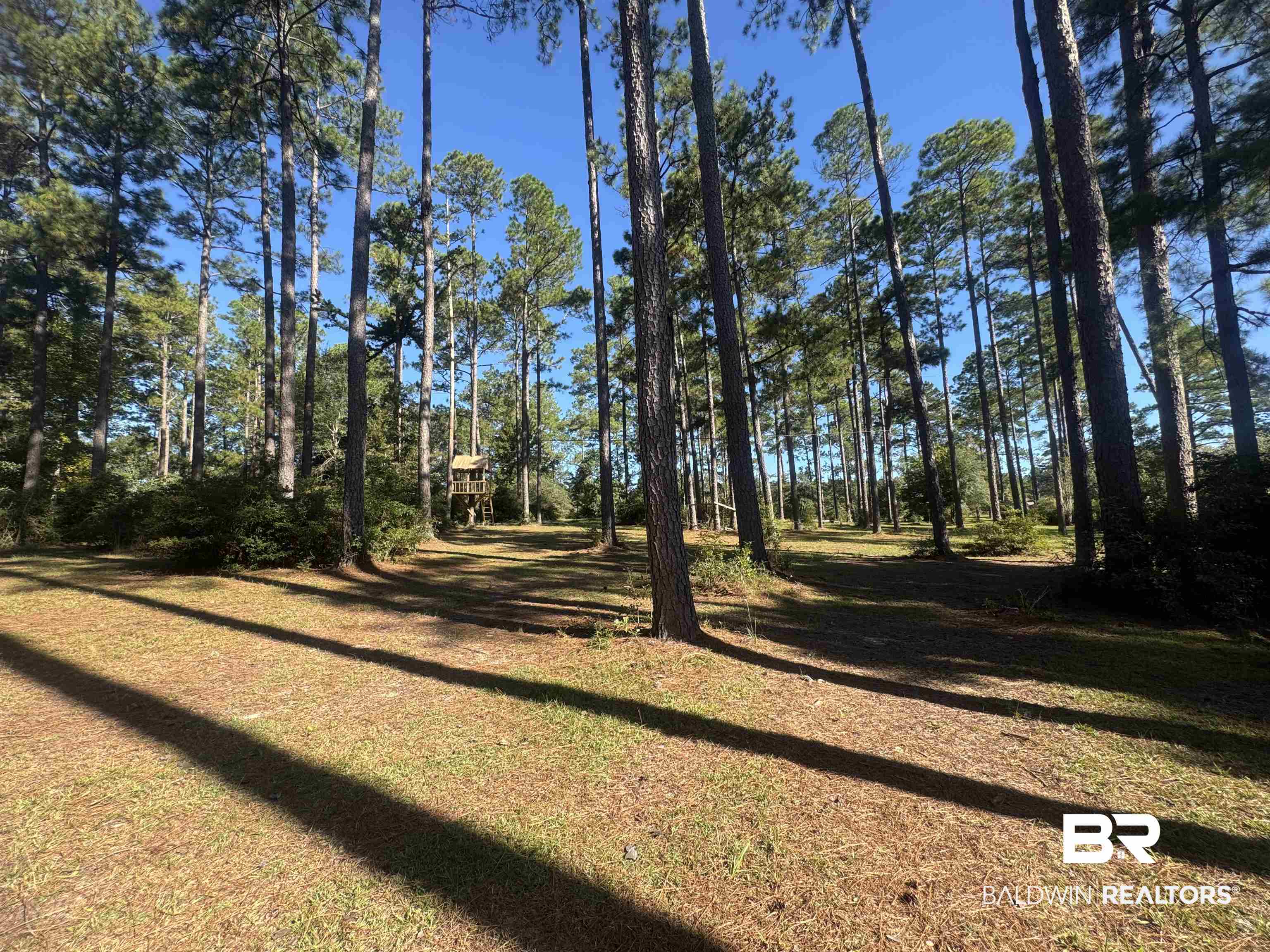 3097 Old Castleberry Road Brewton, AL 36426 - Photo 34 of 49 View of yard