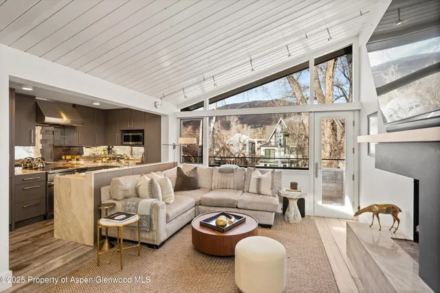 $35,000 | 1001 East Cooper Avenue, Unit 2, Aspen, CO 81611