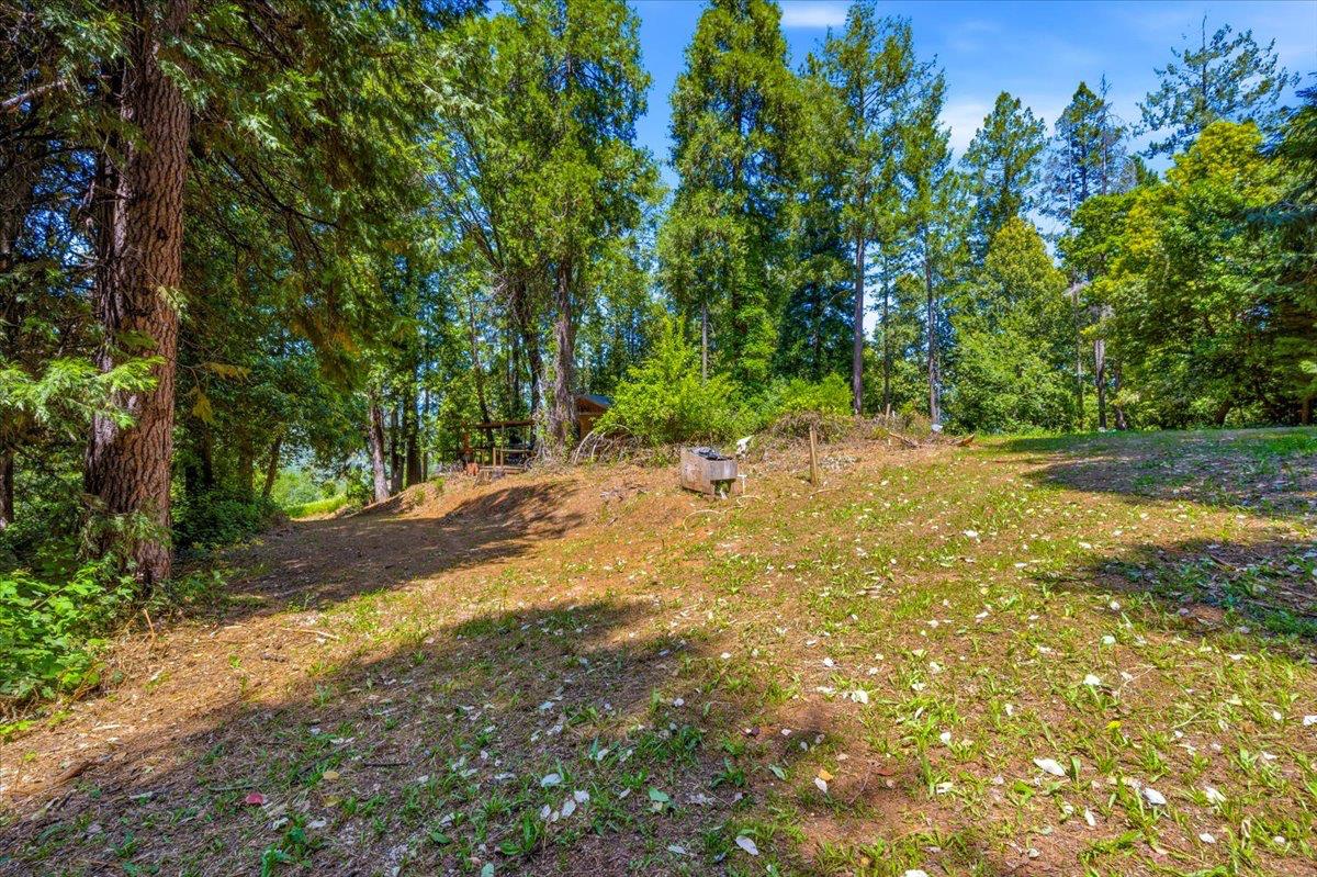 19643 Sages Road Nevada City, CA 95959 - Photo 24 of 39 a backyard of a house with lots of green space