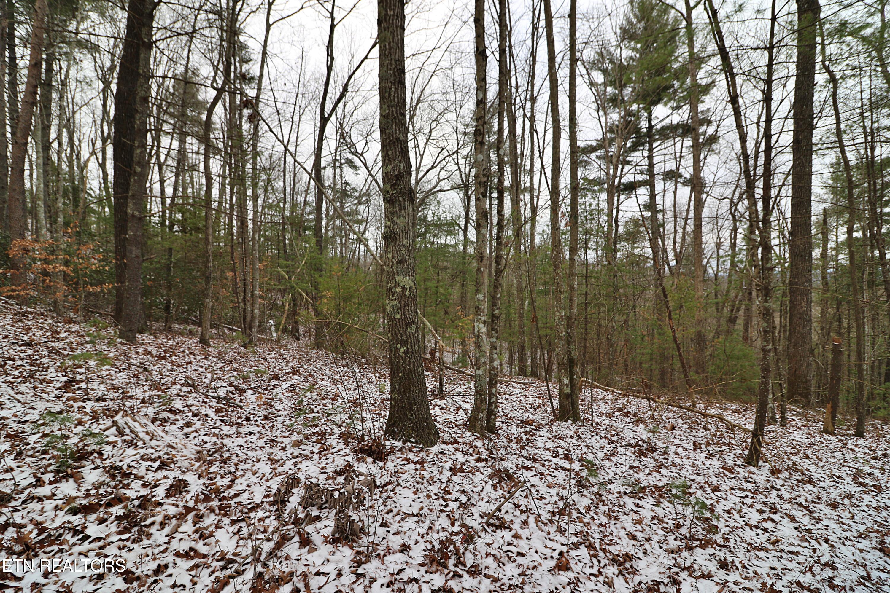 3063 Leatherwood Road Oneida, TN 37841 - Photo 11 of 14 094A9978