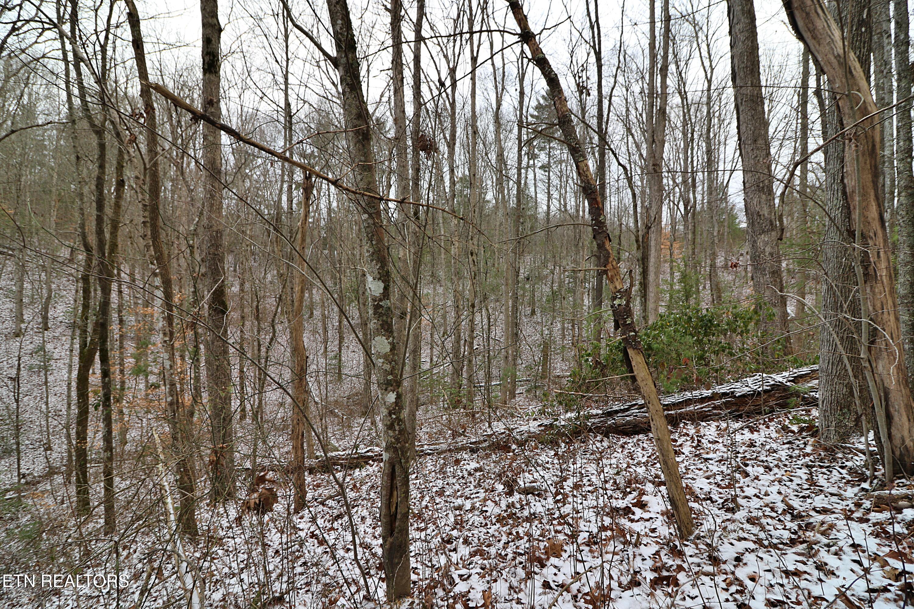 3063 Leatherwood Road Oneida, TN 37841 - Photo 6 of 14 094A9983