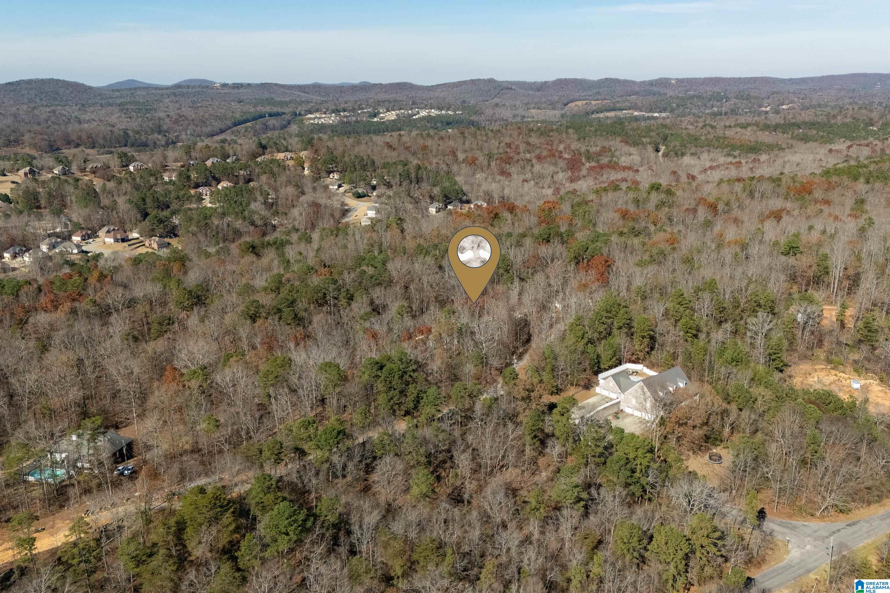 65 Ridgecrest Lane Trussville, AL 35173 - Photo 79 of 84