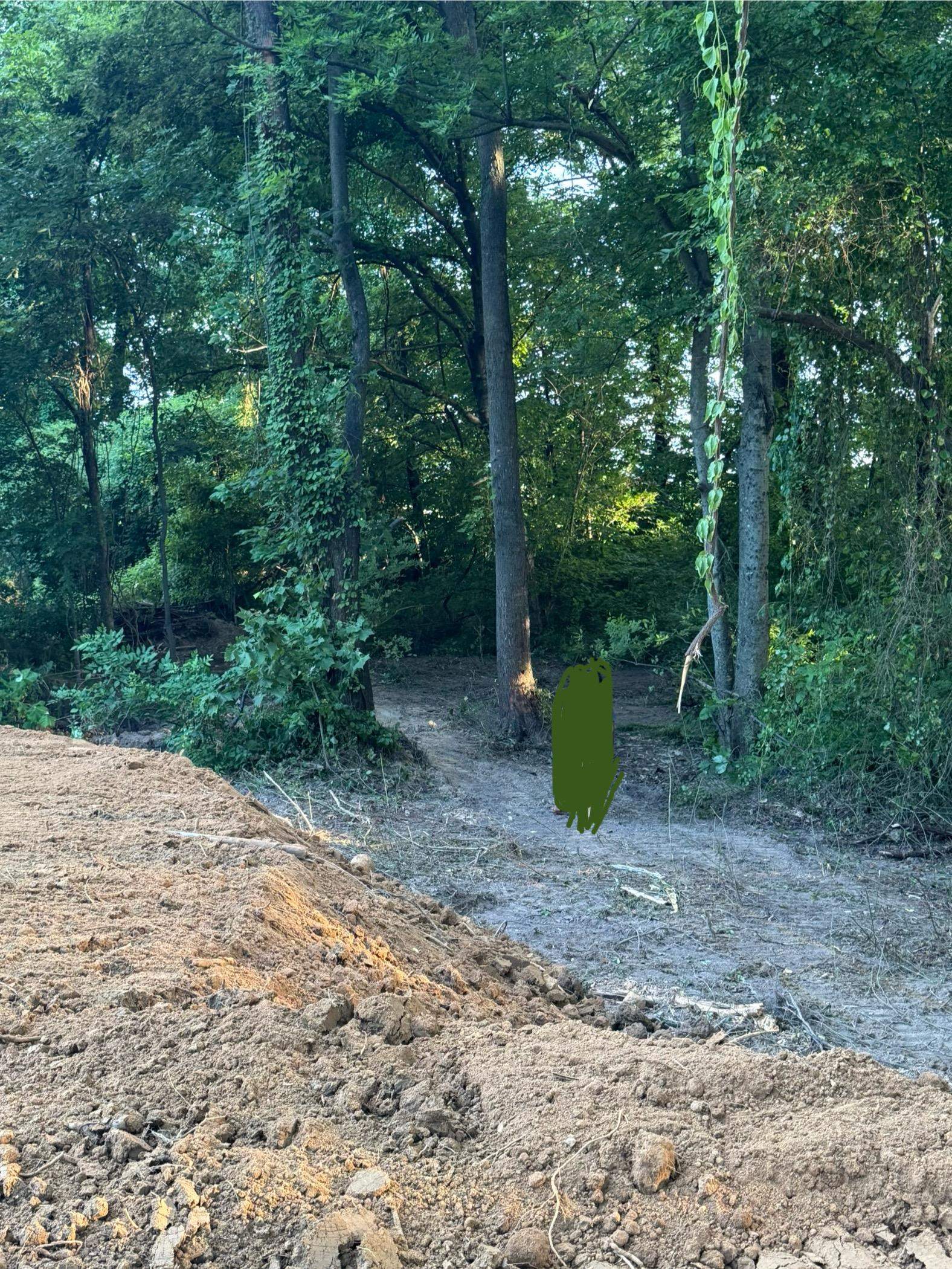 867 East Alcy Road Memphis, TN 38106 - Photo 6 of 6 a view of a park with large trees