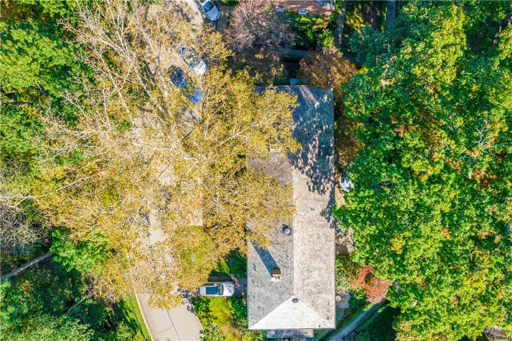 633 Olympia Road Pittsburgh, PA 15211 - Photo 24 of 25 a yard with a tree