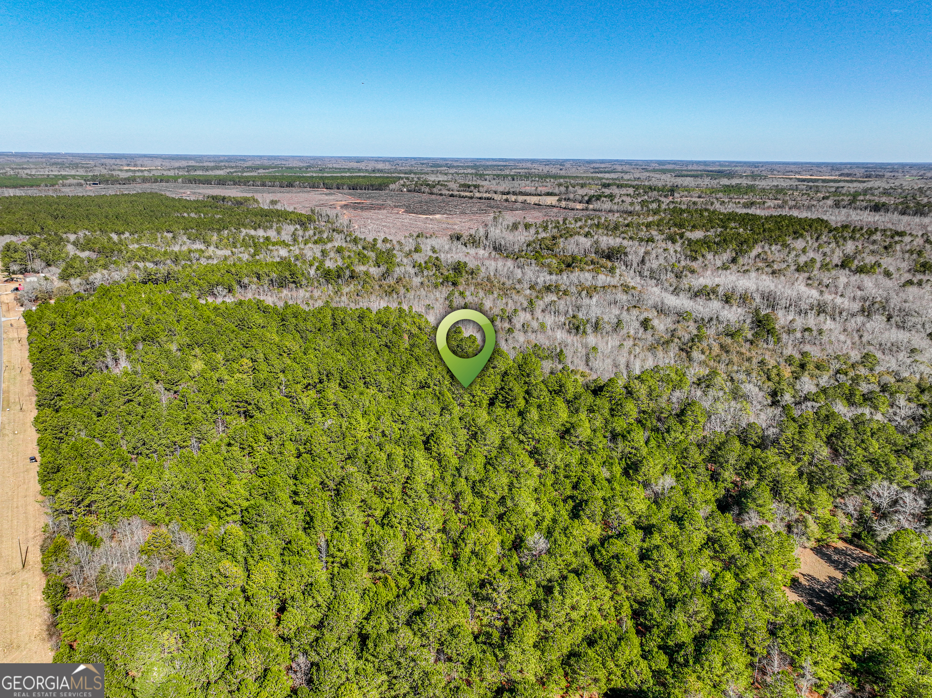 0 Buckeye Road Tennille, GA 31089 - Photo 10 of 13