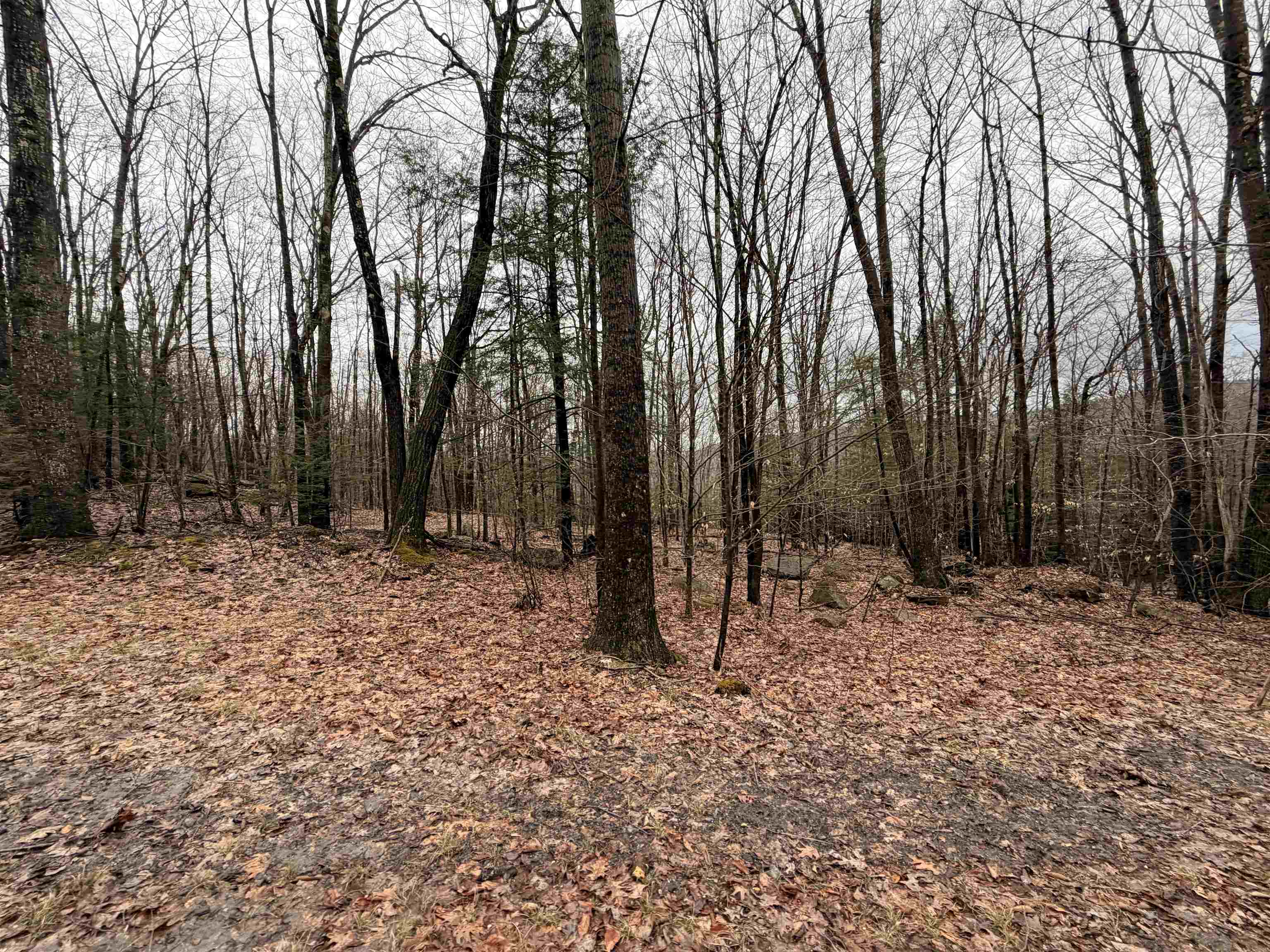 0 Old Walpole/valley View Road Keene, NH 03431 - Photo 18 of 23