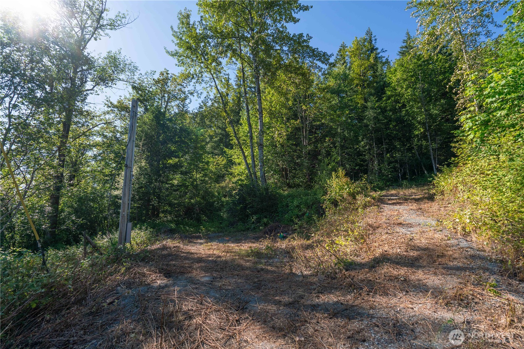 14405 Whiteman Road Gold Bar, WA 98251 - Photo 11 of 37