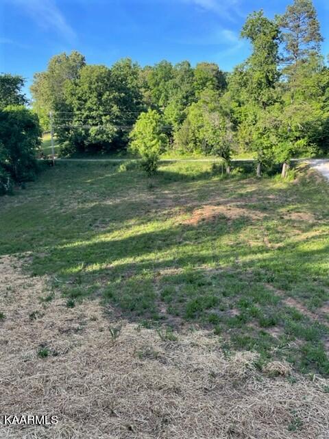 839 Whitaker Road New Market, TN 37820 - Photo 3 of 26 IMG_4534