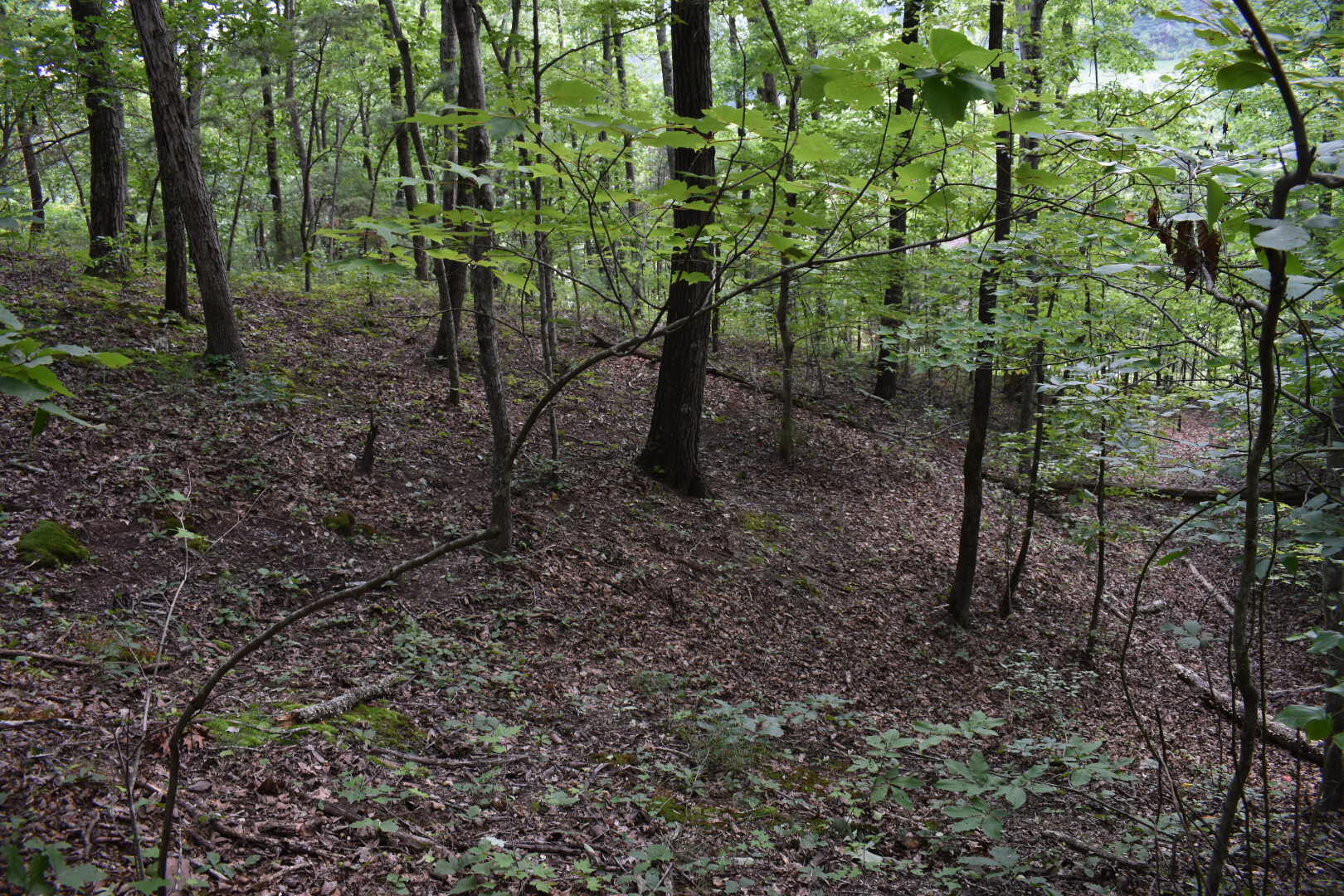 458 Pendleton Branch Road Salt Lick, KY 40371 - Photo 37 of 62 DSC_0718
